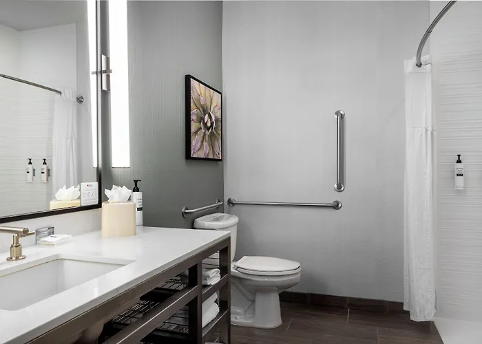 Hilton Garden Airport 3* Phoenix