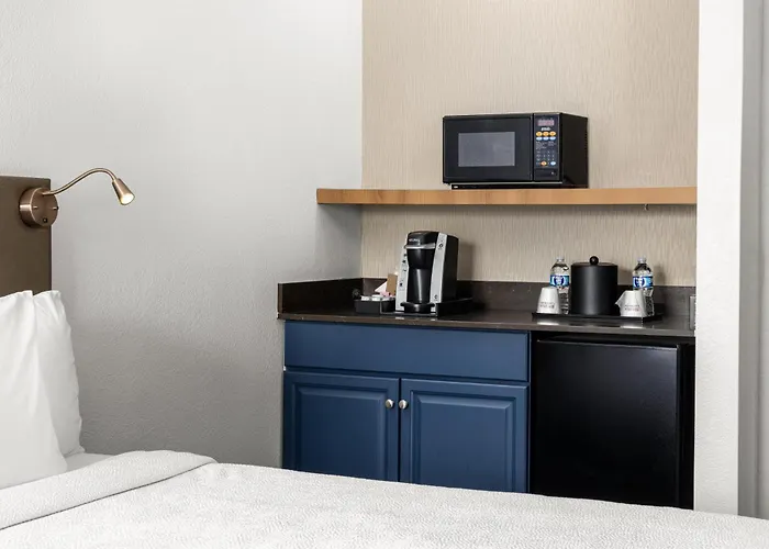Hilton Garden Airport Hotel 3*