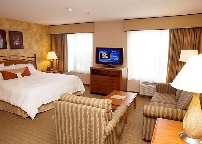 Hilton Garden Airport Hotel 3*
